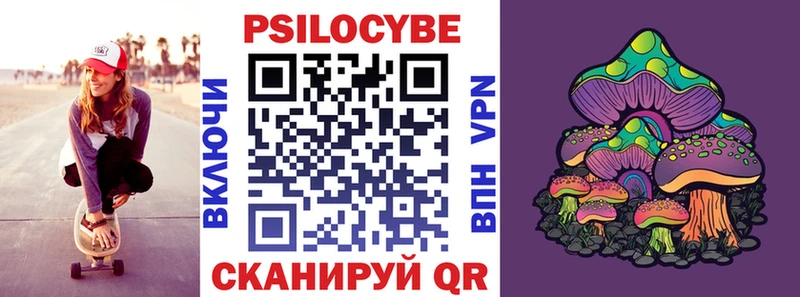 MEGA как войти  хочу   Боровск  Псилоцибиновые грибы Magic Shrooms 